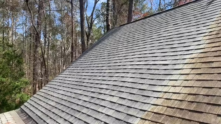 Soft Wash Roof Cleaning​